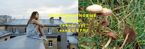 ECSTASY Балахна
